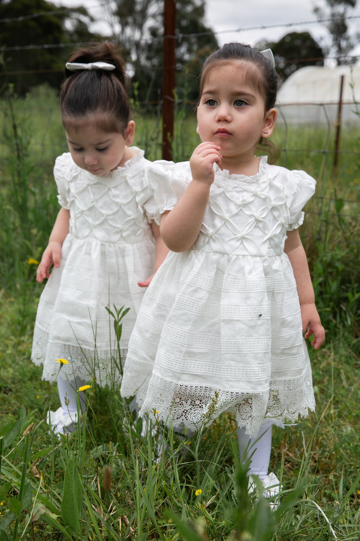 ELEANOR DRESS